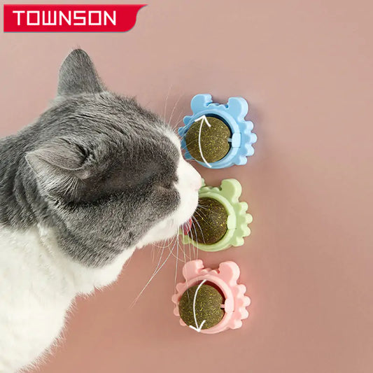 Catnip Sensatie - Gezonde Speeltjes en Snacks voor Katten